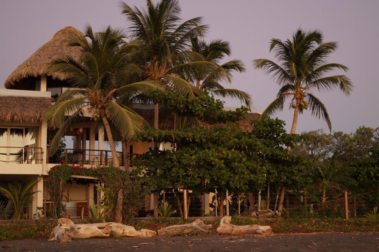 Alive Beach House Transito Eksteriør bilde